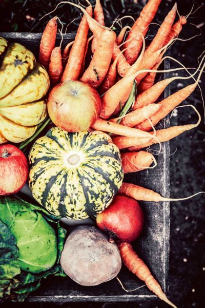 Herbst | Foto: iStock/GiorgioMagini