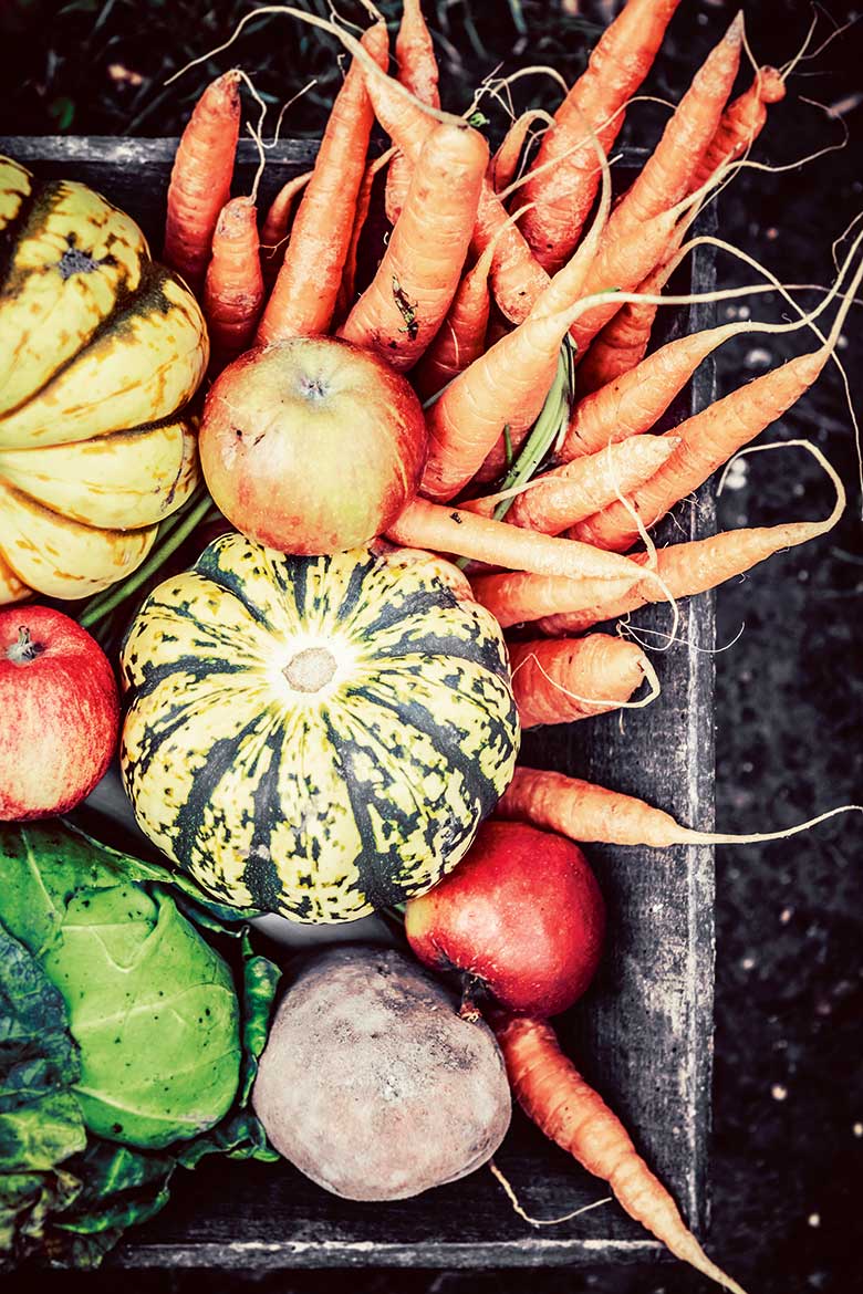 Herbst | Foto: iStock/GiorgioMagini