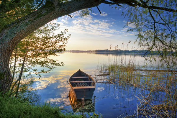 Polen | Foto: ysuel/shutterstock