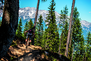 Dieser Somer wird die Höhe. Foto: Steiermark Tourismus/Gleichweit-Nistelberger