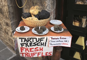 Truffles aus Umbrien Italien