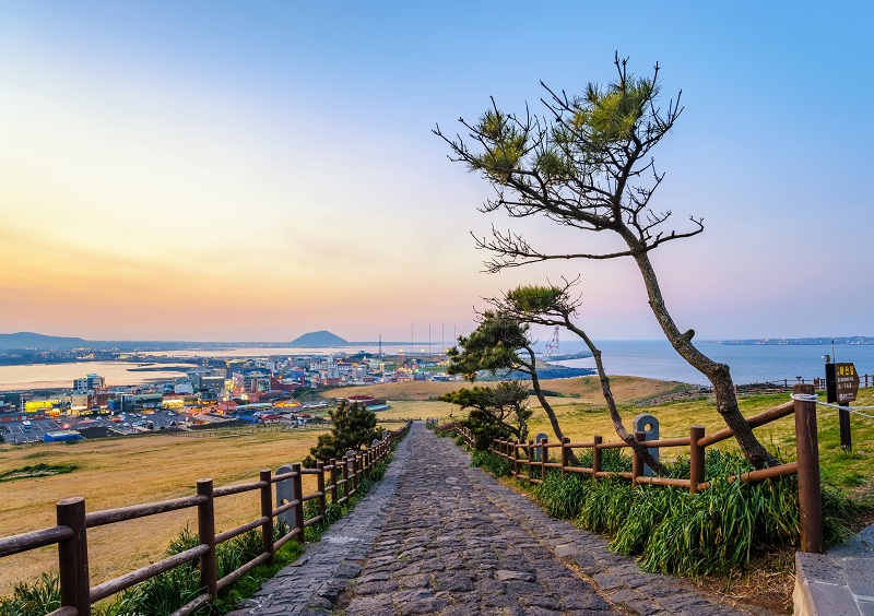 Jeju – Honeymoon, Haenyo und Hallasan