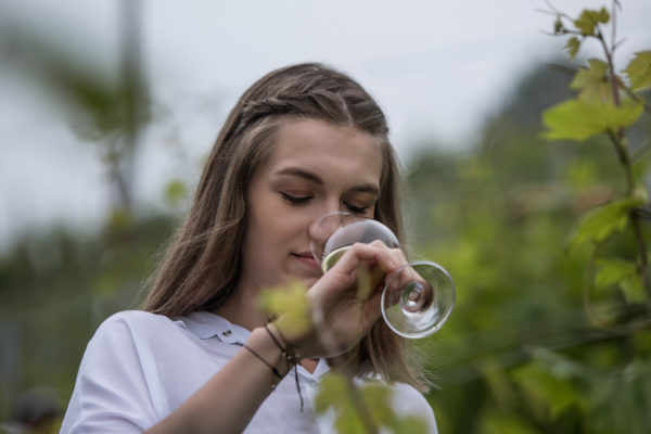 DAC Herkunftssystem Steiermark