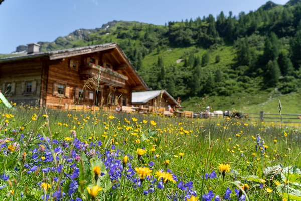 Durchgangsalm im Raurisertal, Nationalpark Hohe Tauern © Lukas Pilz / TVB Rauris